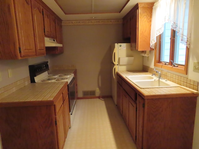 114 2nd St S, Truman, MN 56088 - kitchen featuring under cabinet range hood, range with electric stovetop, a sink, and tile countertops