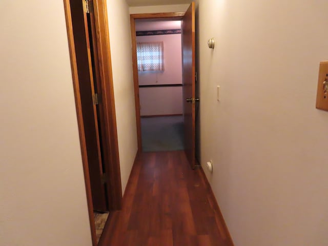 114 2nd St S, Truman, MN 56088 - hallway with wood finished floors