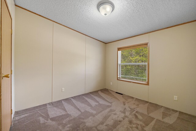 58885 County Road 136, Menahga, MN 56464 - spare room featuring ornamental molding, carpet floors, and a textured ceiling