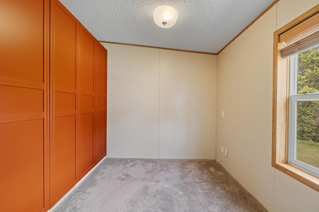 58885 County Road 136, Menahga, MN 56464 - unfurnished bedroom featuring a textured ceiling, carpet flooring, and ornamental molding