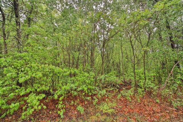 4211 Crow Wing Cir SW, Pillager, MN 56473