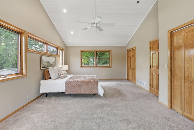 218 Owens St N, Stillwater, MN 55082 - bedroom with vaulted ceiling, carpet floors, two closets, baseboards, and recessed lighting