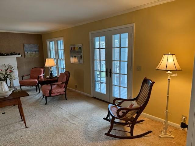 331 Willamor Cir, Albert Lea, MN 56007 - living area featuring french doors, carpet, ornamental molding, and baseboards