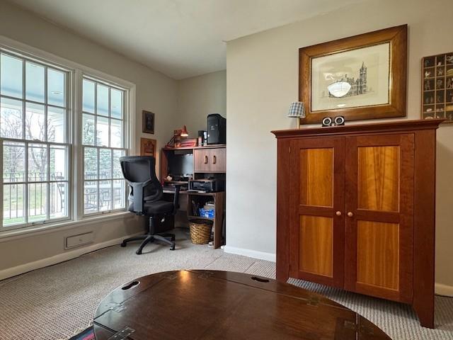 331 Willamor Cir, Albert Lea, MN 56007 - office featuring baseboards, light carpet, and plenty of natural light