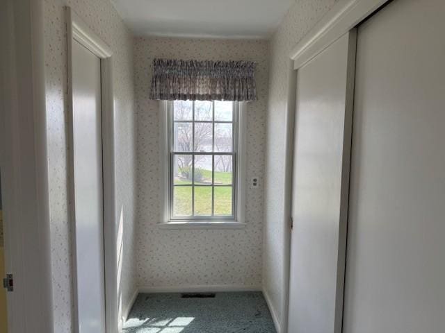 331 Willamor Cir, Albert Lea, MN 56007 - empty room with plenty of natural light and carpet floors