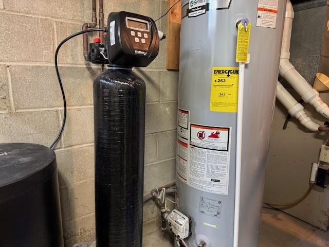 331 Willamor Cir, Albert Lea, MN 56007 - utilities featuring gas water heater