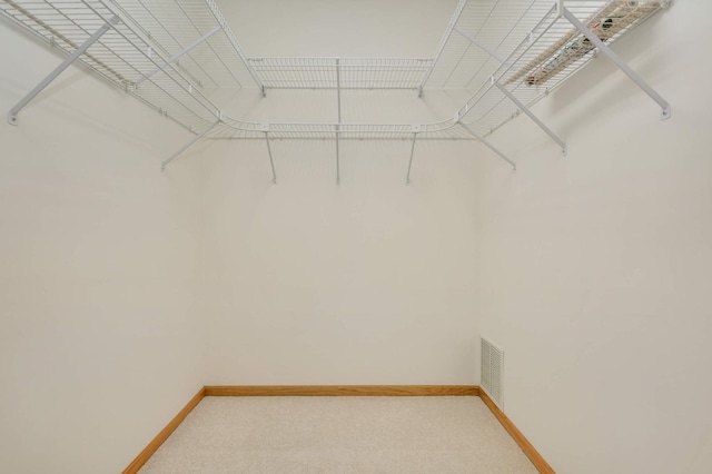 842 Monet Ct, Mendota Heights, MN 55120 - spacious closet featuring light colored carpet