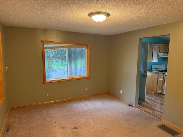 605 Division St W, Faribault, MN 55021 - spare room with light colored carpet, a textured ceiling, and baseboards