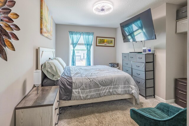 4329 141st Ln NW, Andover, MN 55304 - bedroom with light colored carpet, a textured ceiling, and baseboards