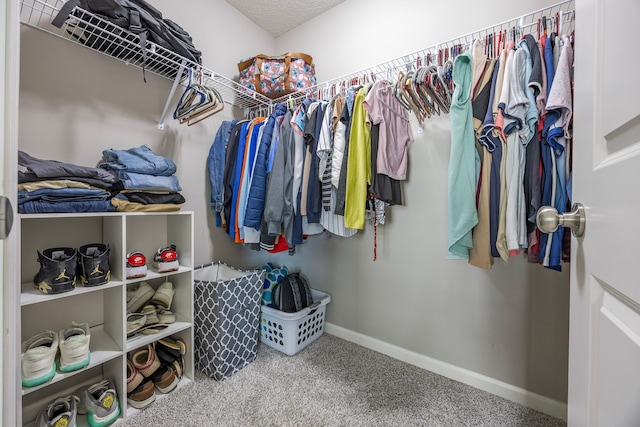 4329 141st Ln NW, Andover, MN 55304 - spacious closet featuring carpet