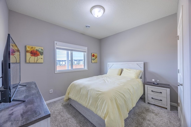 4329 141st Ln NW, Andover, MN 55304 - carpeted bedroom with baseboards and a textured ceiling