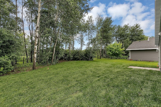 1015 3rd Ave NE, Milaca, MN 56353 - photo 4