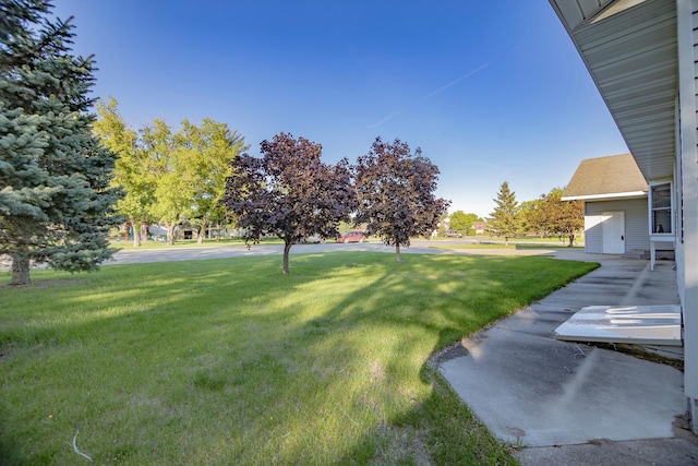 101 6th St NW, Perham, MN 56573 - view of grassy yard