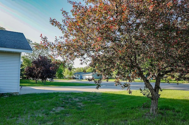 101 6th St NW, Perham, MN 56573 - view of green lawn