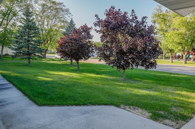 101 6th St NW, Perham, MN 56573 - surrounding community with a yard