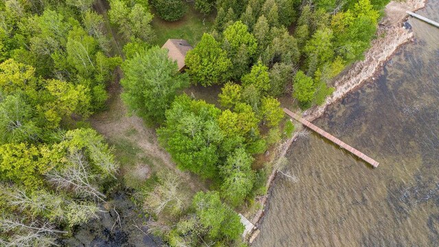 55746 Pleasant Cir, Sand Lake Twp, MN 56659 - photo 31