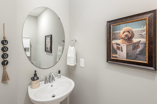 1259 Lower 143rd St E, Rosemount, MN 55068 - bathroom with a sink