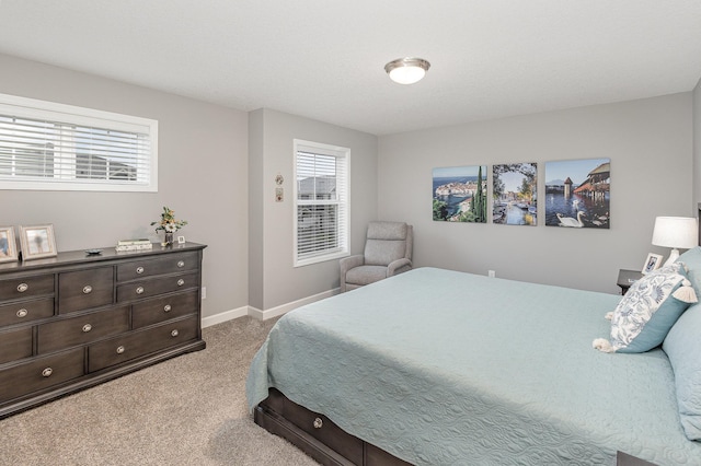 1259 Lower 143rd St E, Rosemount, MN 55068 - bedroom with carpet and baseboards