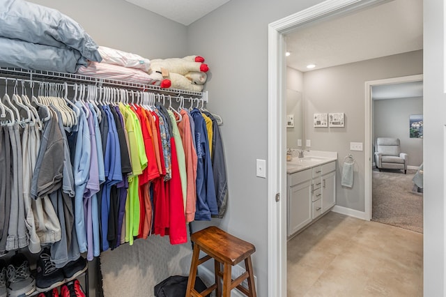1259 Lower 143rd St E, Rosemount, MN 55068 - walk in closet featuring a sink and light carpet