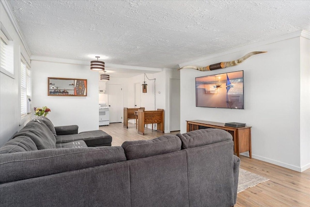 180 Saint Croix Trl N, Lakeland, MN 55043 - living area featuring a textured ceiling, light wood-type flooring, baseboards, and crown molding