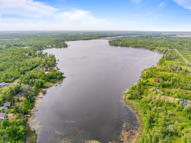 1605 White Ash Ln, Apple River Twp, WI 54810 - bird's eye view of a large body of water and a heavily wooded area