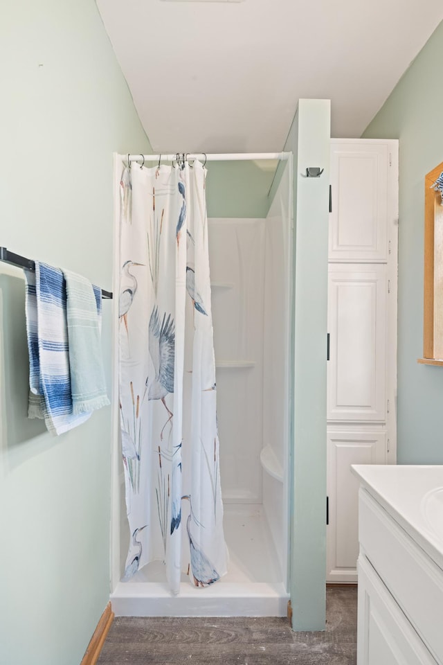 1605 White Ash Ln, Apple River Twp, WI 54810 - full bathroom featuring vanity, a shower stall, and wood finished floors