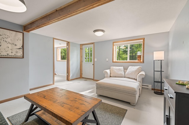 1605 White Ash Ln, Apple River Twp, WI 54810 - living room with a baseboard heating unit