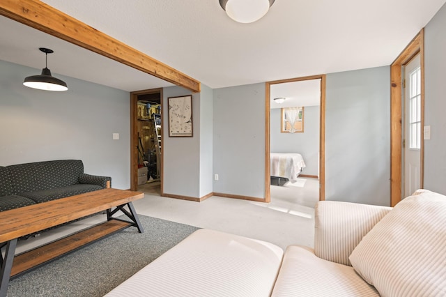 1605 White Ash Ln, Apple River Twp, WI 54810 - view of living room