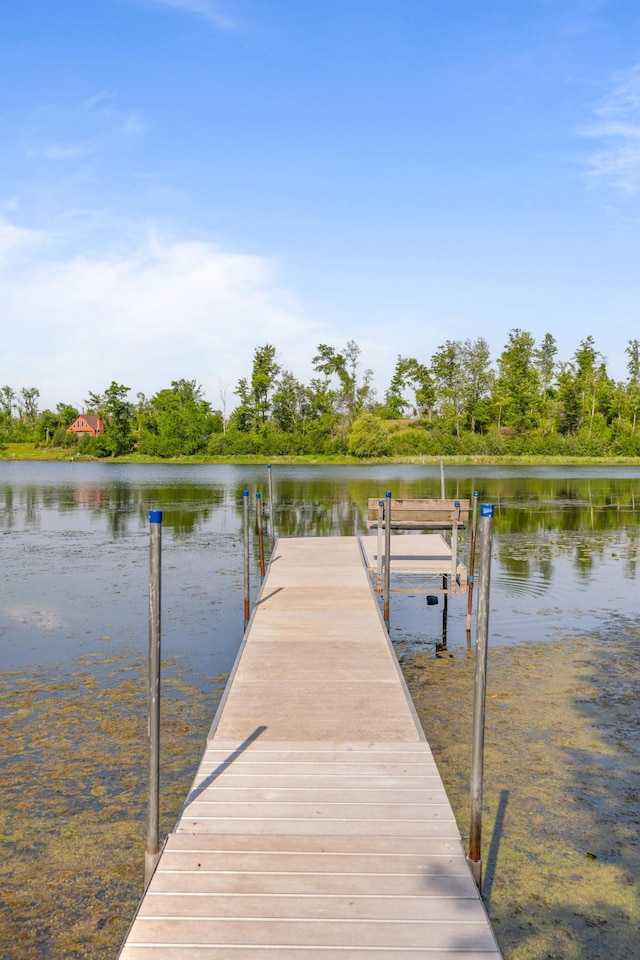 1605 White Ash Ln, Apple River Twp, WI 54810 - dock with a water view