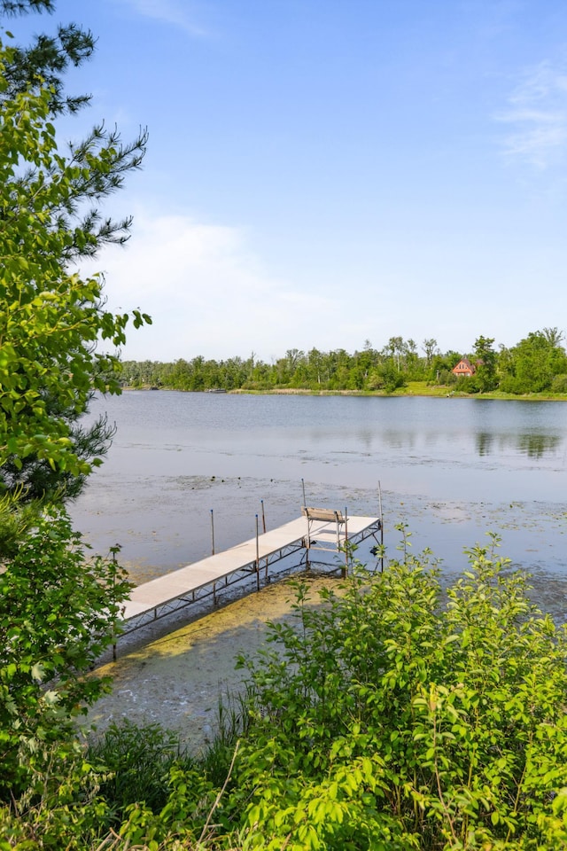 1605 White Ash Ln, Apple River Twp, WI 54810 - dock area featuring a water view
