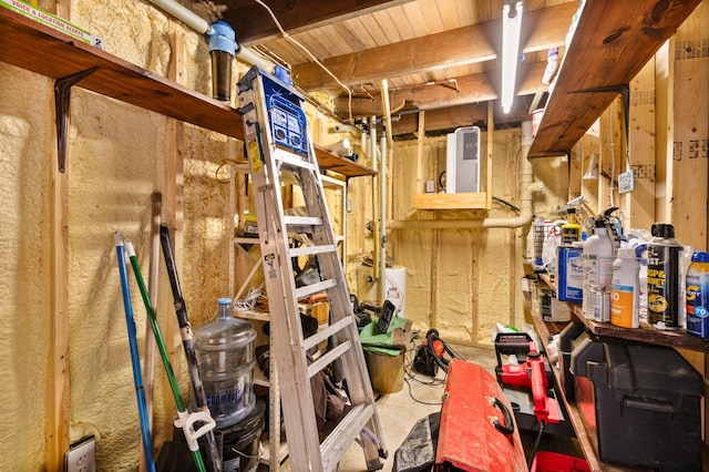 1605 White Ash Ln, Apple River Twp, WI 54810 - view of storage room