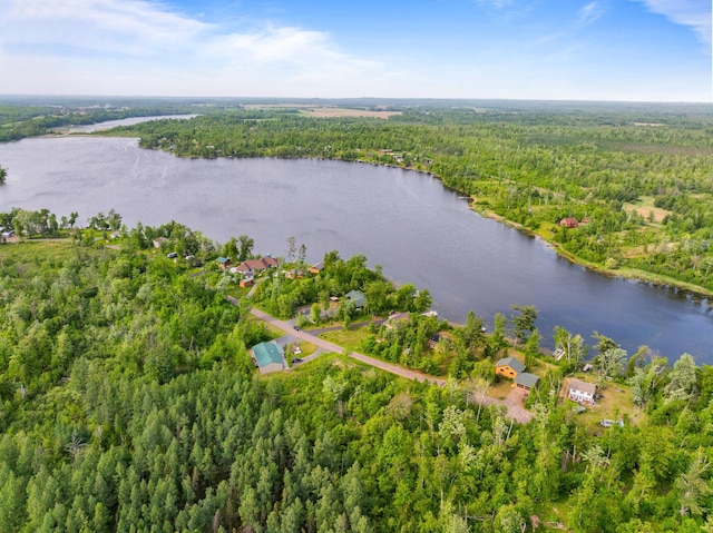 1605 White Ash Ln, Apple River Twp, WI 54810 - drone / aerial view of a forest and a nearby body of water
