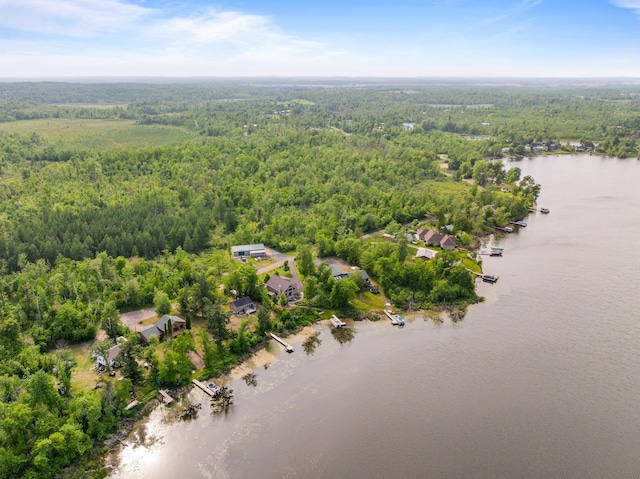 1605 White Ash Ln, Apple River Twp, WI 54810 - bird's eye view of a heavily wooded area and a large body of water
