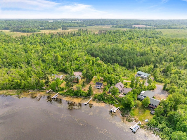 1605 White Ash Ln, Apple River Twp, WI 54810 - aerial view of a forest and a large body of water