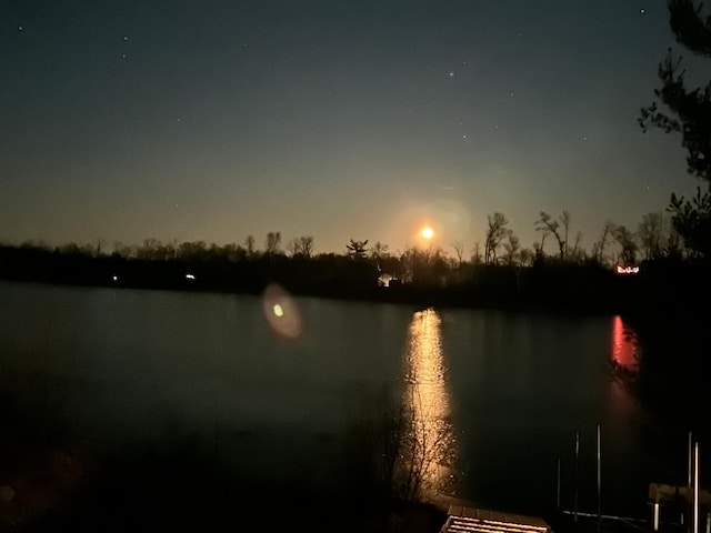 1605 White Ash Ln, Apple River Twp, WI 54810 - water view