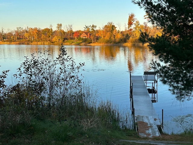 1605 White Ash Ln, Apple River Twp, WI 54810 - water view with a dock and a forest