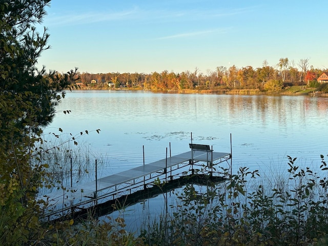 1605 White Ash Ln, Apple River Twp, WI 54810 - dock with a water view and a view of trees