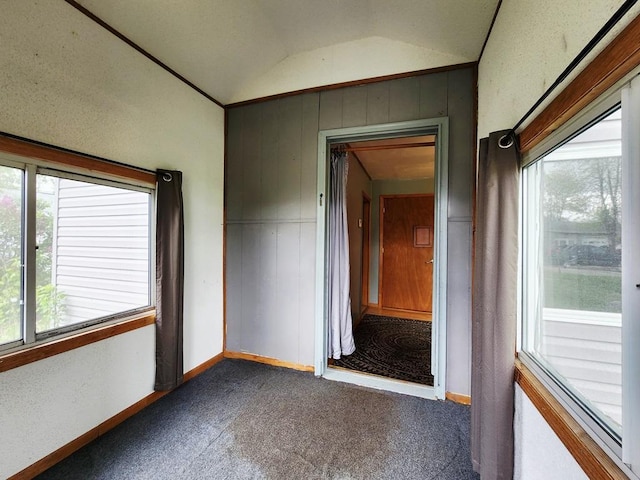 200 Jessie St, Marble, MN 55764 - carpeted empty room with vaulted ceiling, plenty of natural light, baseboards, and wood walls