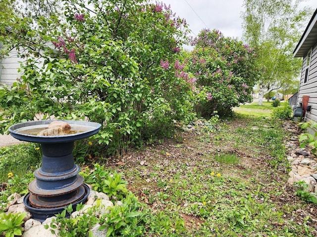 200 Jessie St, Marble, MN 55764 - view of yard