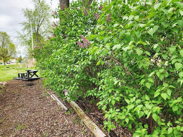 200 Jessie St, Marble, MN 55764 - view of yard