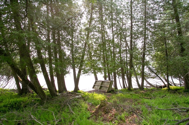 8586 Graves Lake Rd NE, Remer, MN 56672 - water view