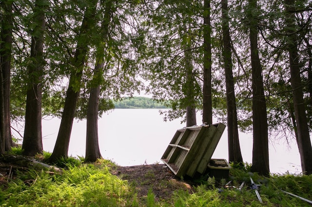 8586 Graves Lake Rd NE, Remer, MN 56672 - water view