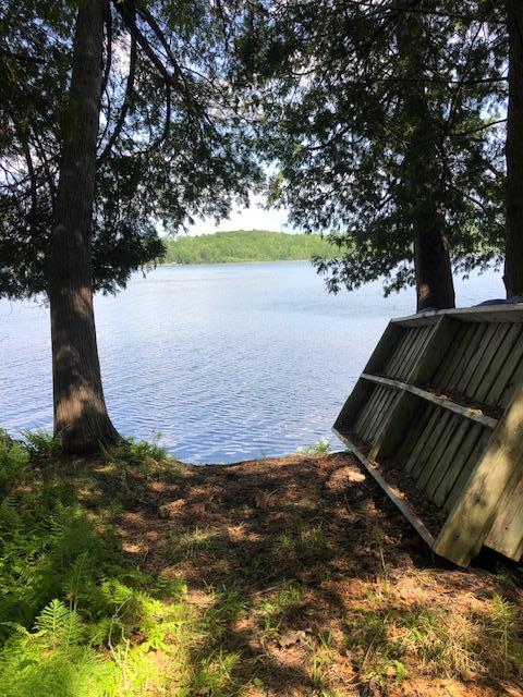 8586 Graves Lake Rd NE, Remer, MN 56672 - water view