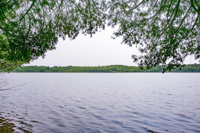 8586 Graves Lake Rd NE, Remer, MN 56672 - water view