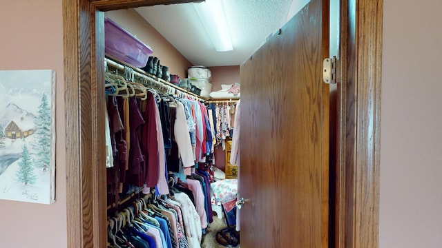 1720 Hale Dr, Albert Lea, MN 56007 - view of spacious closet