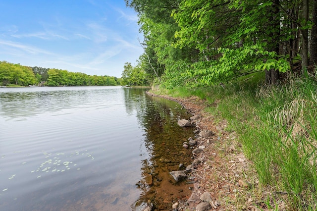568 26th Ave, Cumberland, WI 54829 - water view featuring a forest