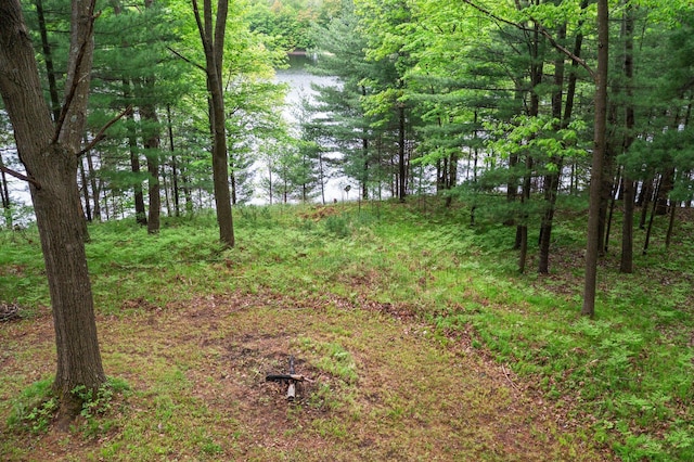 568 26th Ave, Cumberland, WI 54829 - view of undeveloped land featuring a nearby body of water