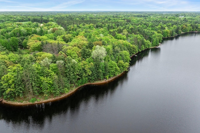 568 26th Ave, Cumberland, WI 54829 - bird's eye view of a forest and a nearby body of water