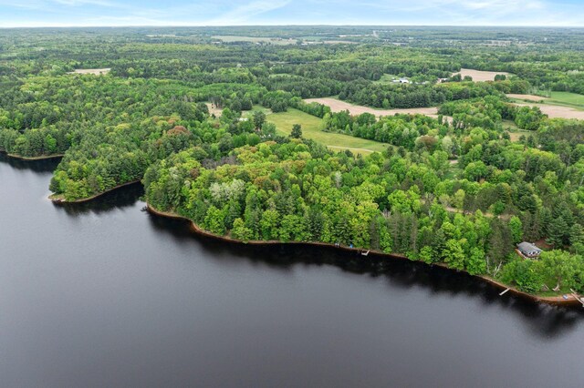 568 26th Ave, Cumberland, WI 54829 - bird's eye view of a heavily wooded area and a large body of water