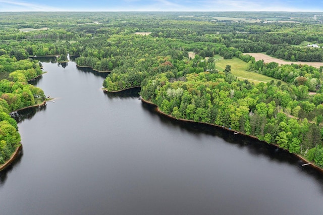 568 26th Ave, Cumberland, WI 54829 - drone / aerial view of a forest and a large body of water